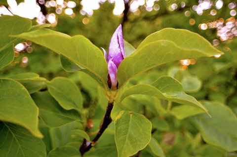 The Glasshouse Boutique Accommodation - Redcliffe Tourism 2