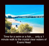 The Lazy Llama - Redcliffe Tourism