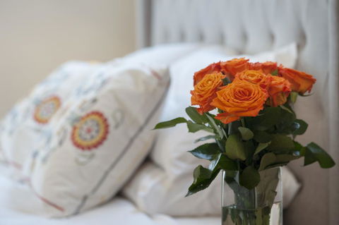 The Nest At Gundaroo - Redcliffe Tourism 1