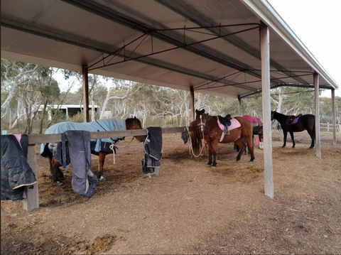 The Saddle Camp Tiny House, Braidwood - Redcliffe Tourism 1