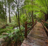 The Source Otways - Redcliffe Tourism