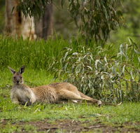 The Stirling Golf Club - Redcliffe Tourism