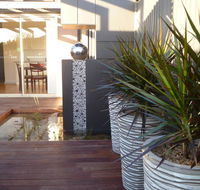 The Wet Lizard - Redcliffe Tourism