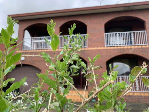 Thomastown Antique House Room 3 - Redcliffe Tourism 1