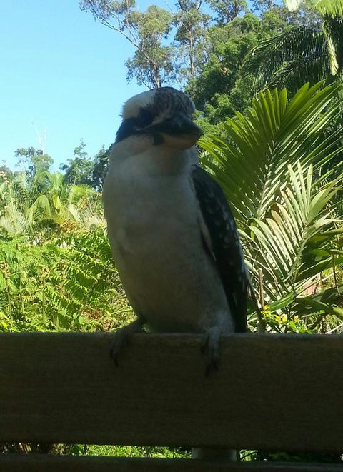 Tropic Oasis - Redcliffe Tourism 3