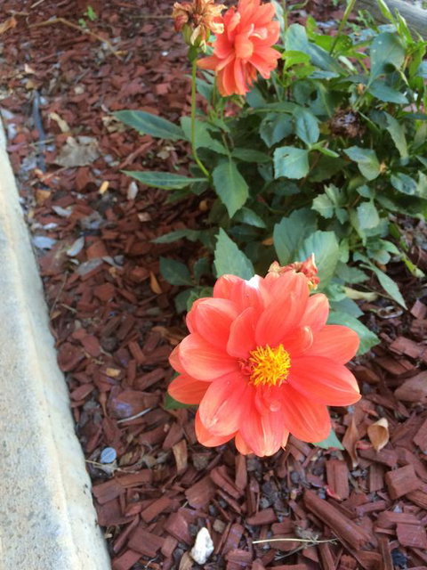 Tumut Valley Motel - Redcliffe Tourism 1