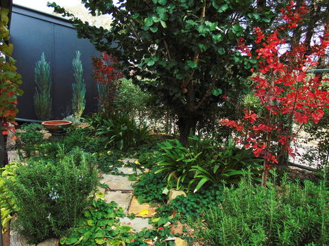 Twin Palms Castlemaine - Redcliffe Tourism 1