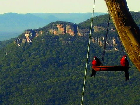 Valley Of The Waters B&B - Redcliffe Tourism 3