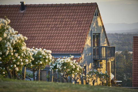 Wandin Valley Estate - Redcliffe Tourism 0