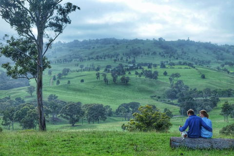 Waterfall Way Farmstay - Redcliffe Tourism 2