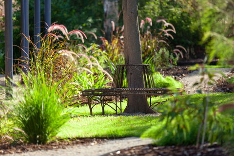 Blazing Stump Motel & Suites - Redcliffe Tourism 35