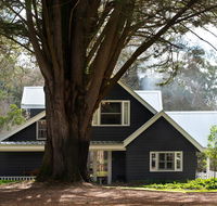 The Orchard - Redcliffe Tourism