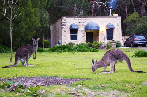Marwood Villas - Redcliffe Tourism 0