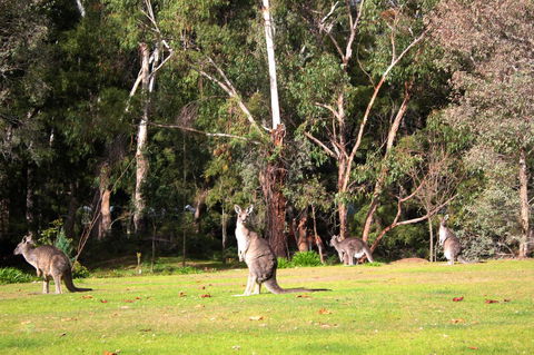 Marwood Villas - Redcliffe Tourism 28