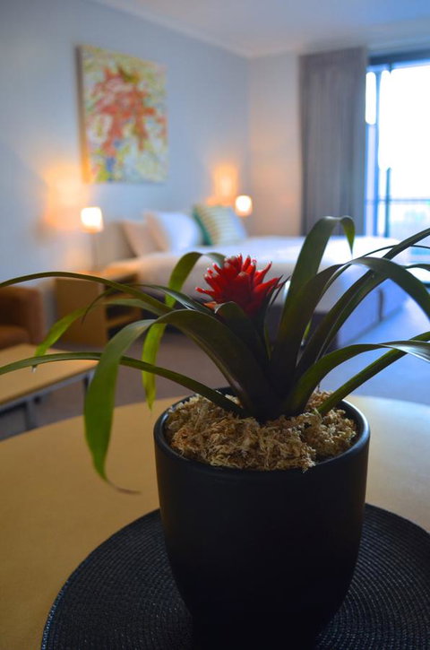 Mansfield Apartments - Redcliffe Tourism 21