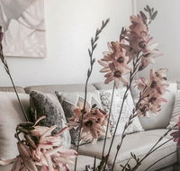 Bed of Roses - Redcliffe Tourism