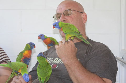 Amaroo On Mandalay, Magnetic Island - Redcliffe Tourism 33