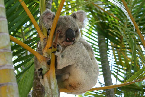 Amaroo On Mandalay, Magnetic Island - Redcliffe Tourism 44