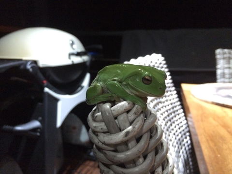 Bed & Breakfast 1 Bedroom Guest House - Redcliffe Tourism 43