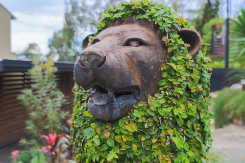 Bed & Breakfast 1 Bedroom Guest House - Redcliffe Tourism 44