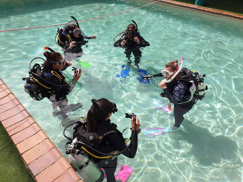 Backpackers In Paradise 18-35 Hostel - Redcliffe Tourism 18