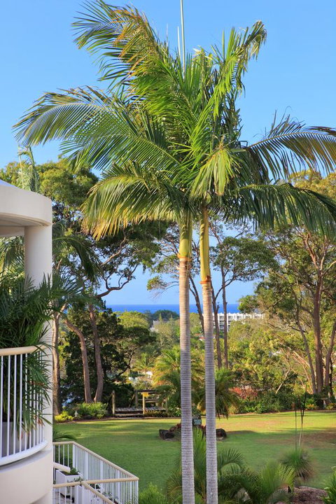 Serenity Apartments Noosa - Redcliffe Tourism 14