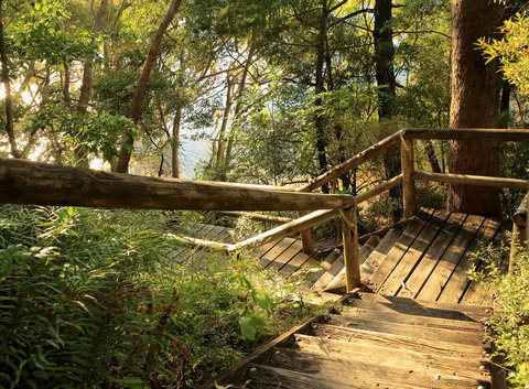 Serenity Apartments Noosa - Redcliffe Tourism 2