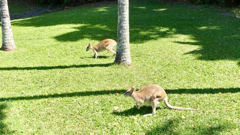 Argosy On The Beach - Redcliffe Tourism 15