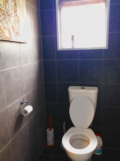 XYL Pets Friendly Seaside Boutique Guesthouse - Redcliffe Tourism 5