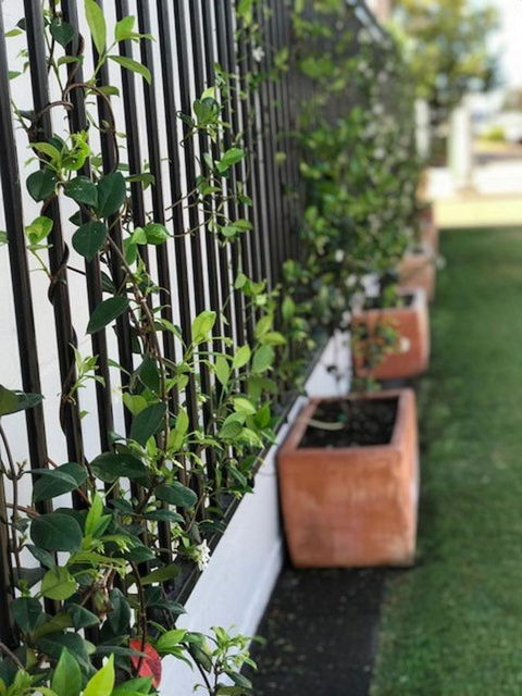 Takalvan Motel - Redcliffe Tourism 15