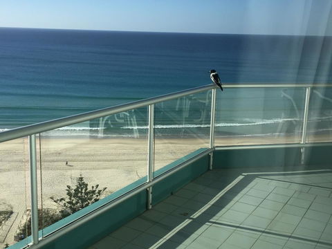 Ocean Plaza Resort - Redcliffe Tourism 28