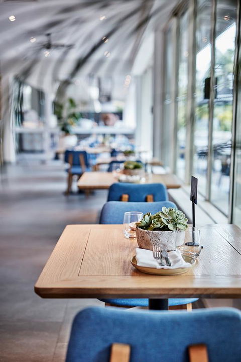 Novotel Cairns Oasis Resort - Redcliffe Tourism 19