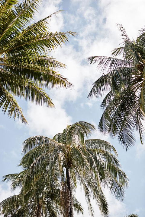 Novotel Cairns Oasis Resort - Redcliffe Tourism 9