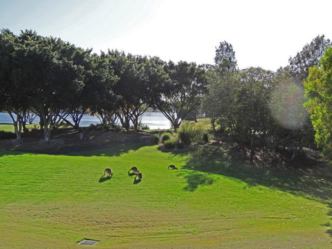 Waterfront Resort Villa With Buggy - Redcliffe Tourism 32