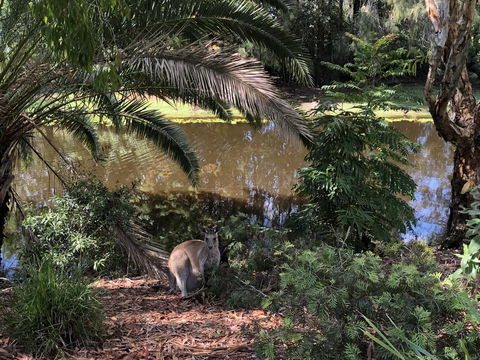 Waterfront Resort Villa With Buggy - Redcliffe Tourism 25