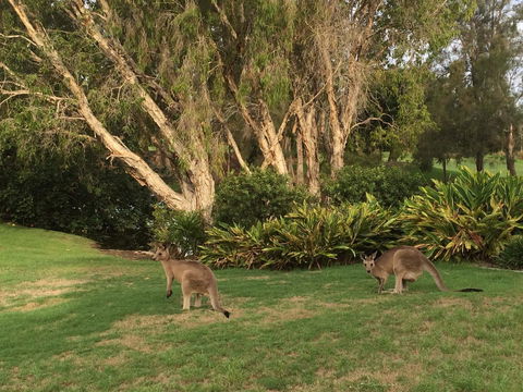 Waterfront Resort Villa With Buggy - Redcliffe Tourism 19