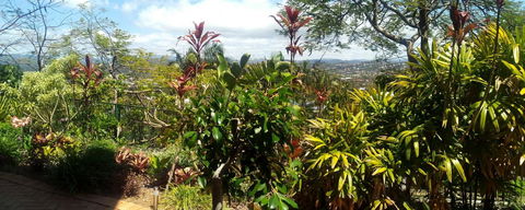 Private Guest Suite High On Currumbin Hill - Redcliffe Tourism 27