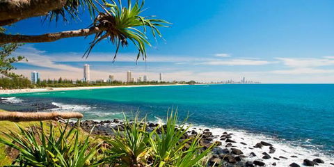 Private Guest Suite High On Currumbin Hill - Redcliffe Tourism 23