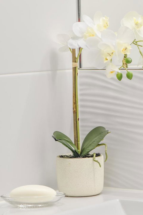 The Guesthouse Maleny - Redcliffe Tourism 32