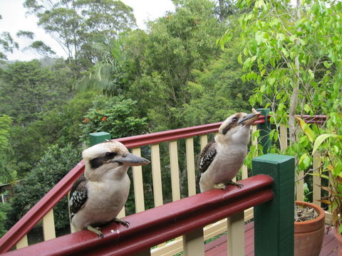 Shasta Place - Redcliffe Tourism 12