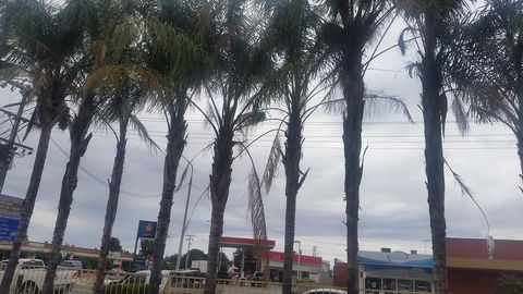 Wentworth Club Motel - Redcliffe Tourism 2