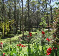 Werekataba - Redcliffe Tourism