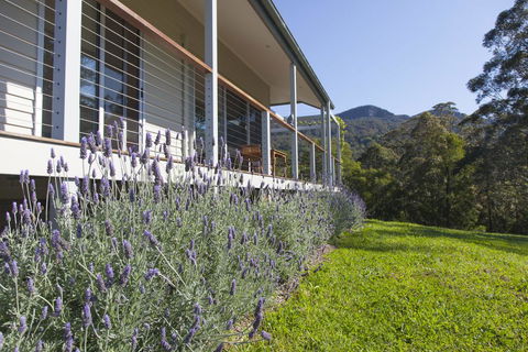 Wilderberry Cottage - Redcliffe Tourism 3