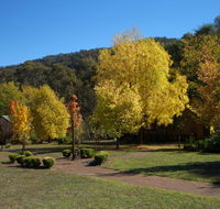 Willowlake Cottages - Redcliffe Tourism