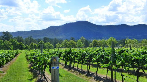 Winmark Wines - Redcliffe Tourism 1