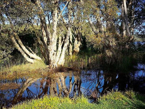 Wisteria Cottage On The Lagoon/Beach - Redcliffe Tourism 2