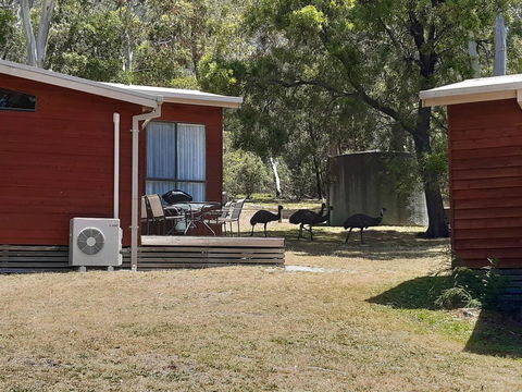 Wonderland Cottages - Redcliffe Tourism 3