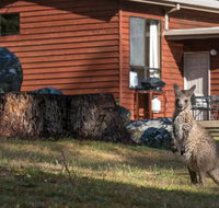Wonderland Cottages - Redcliffe Tourism