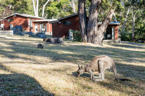Wonderland Cottages - Redcliffe Tourism 1