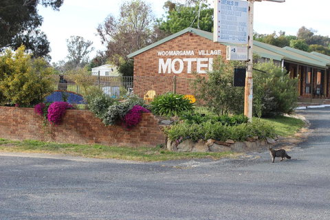 Woomargama Motel - Redcliffe Tourism 3